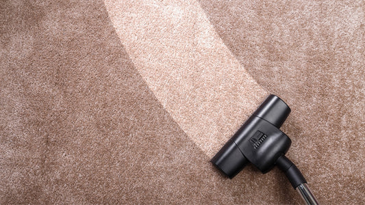 Do Dust Mite Vacuums Really Work? Here’s the Honest Truth