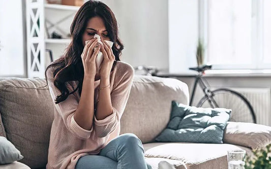 5 Signs Your Couch and Mattress Are Causing Allergies (And How to Fix It)